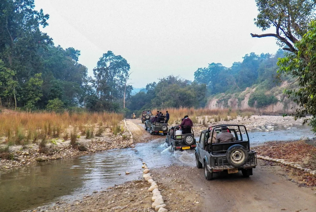 Corbett Safari Jeep